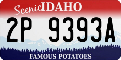 ID license plate 2P9393A