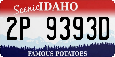 ID license plate 2P9393D