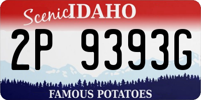 ID license plate 2P9393G