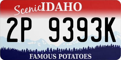 ID license plate 2P9393K
