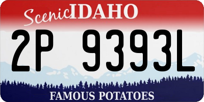 ID license plate 2P9393L
