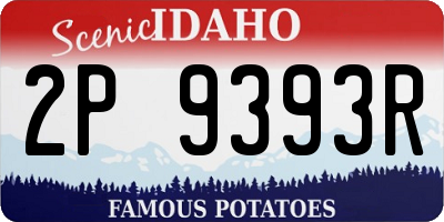 ID license plate 2P9393R