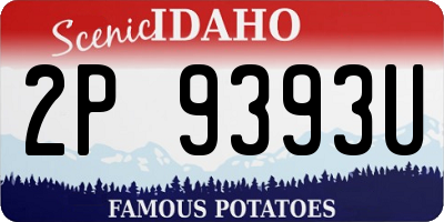 ID license plate 2P9393U