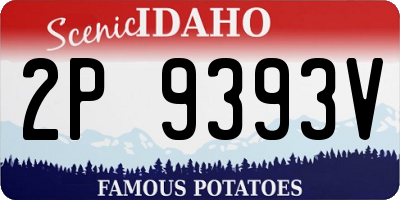 ID license plate 2P9393V