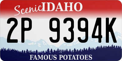 ID license plate 2P9394K