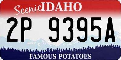 ID license plate 2P9395A