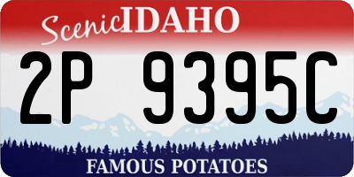 ID license plate 2P9395C