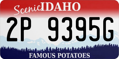 ID license plate 2P9395G