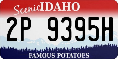 ID license plate 2P9395H