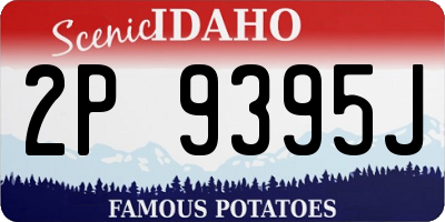 ID license plate 2P9395J