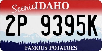 ID license plate 2P9395K