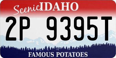 ID license plate 2P9395T