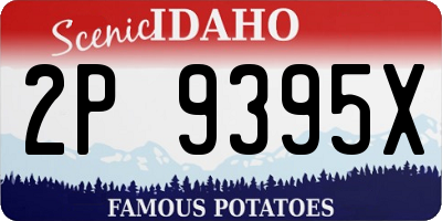 ID license plate 2P9395X