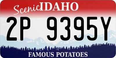 ID license plate 2P9395Y