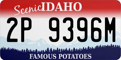 ID license plate 2P9396M