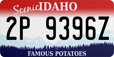 ID license plate 2P9396Z