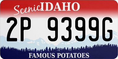 ID license plate 2P9399G
