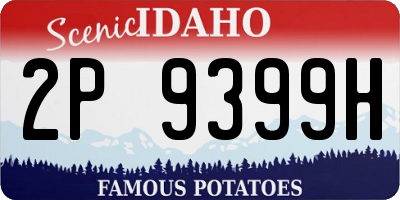 ID license plate 2P9399H