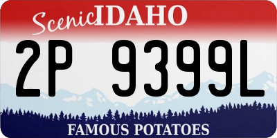 ID license plate 2P9399L