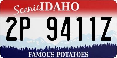 ID license plate 2P9411Z