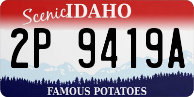ID license plate 2P9419A