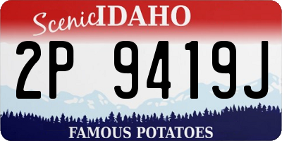 ID license plate 2P9419J
