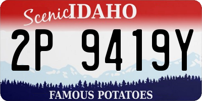 ID license plate 2P9419Y