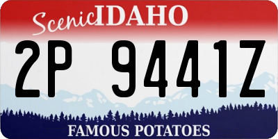ID license plate 2P9441Z