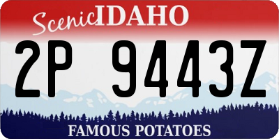 ID license plate 2P9443Z