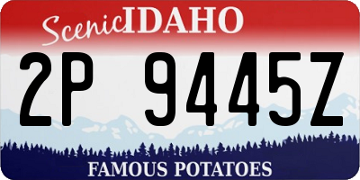 ID license plate 2P9445Z