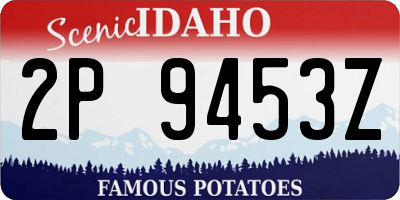 ID license plate 2P9453Z