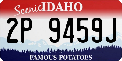 ID license plate 2P9459J