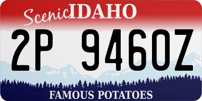 ID license plate 2P9460Z