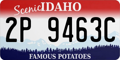 ID license plate 2P9463C