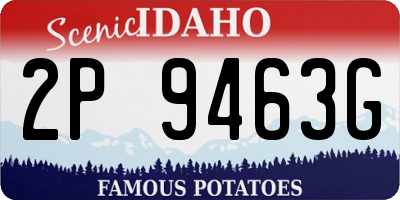 ID license plate 2P9463G