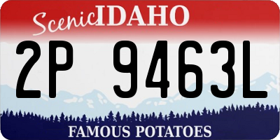 ID license plate 2P9463L