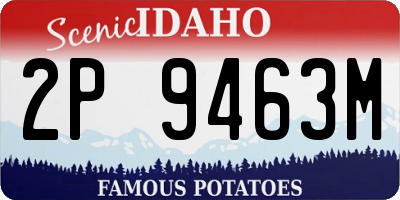 ID license plate 2P9463M