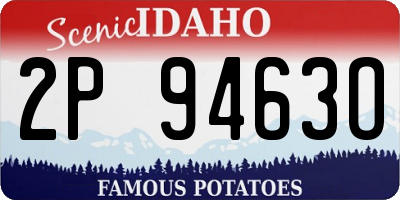 ID license plate 2P9463O