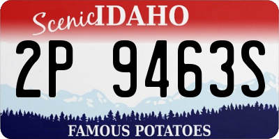 ID license plate 2P9463S