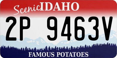 ID license plate 2P9463V
