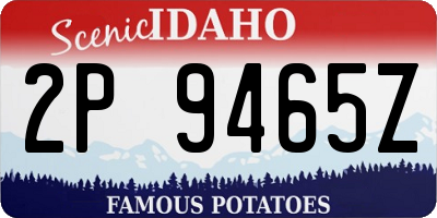 ID license plate 2P9465Z