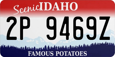 ID license plate 2P9469Z