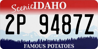 ID license plate 2P9487Z