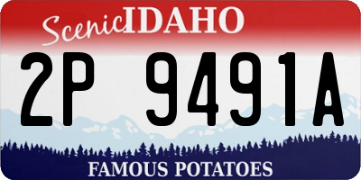 ID license plate 2P9491A