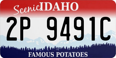 ID license plate 2P9491C