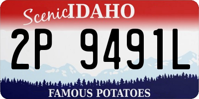 ID license plate 2P9491L