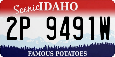 ID license plate 2P9491W