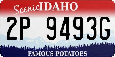 ID license plate 2P9493G