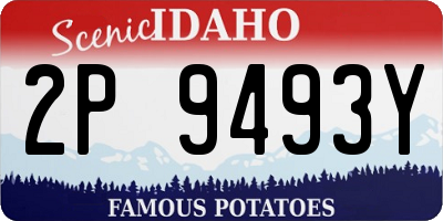 ID license plate 2P9493Y