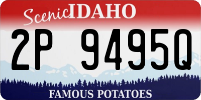 ID license plate 2P9495Q